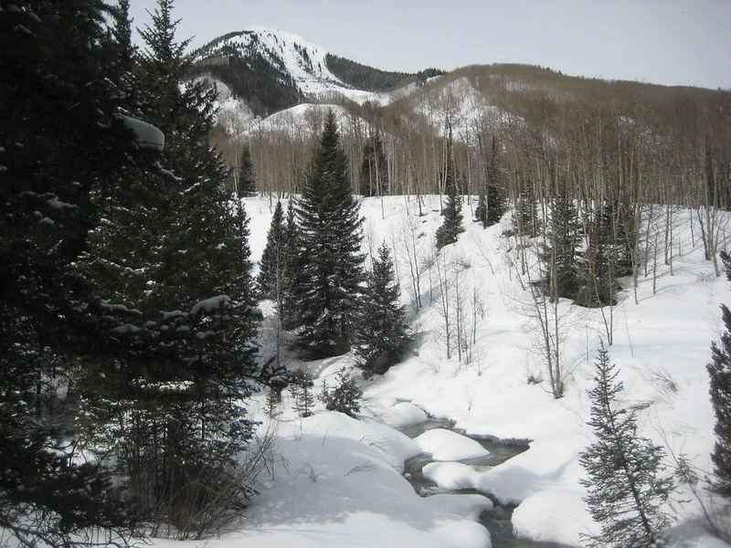 Make Room for Growth