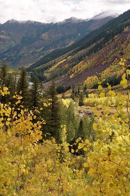 Turn Intention Into Action