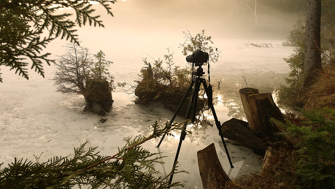 A pull-back image of Michael Higgins' set-up while taking "Bonsai Island"
