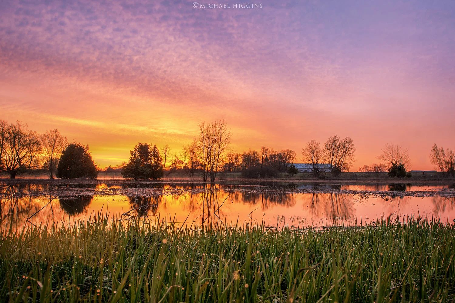 "The Placid Jock River" - Michael Higgins
