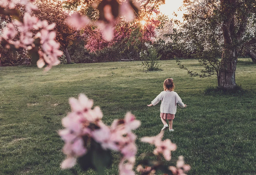 The Best Places to See Cherry Blossoms in Canada