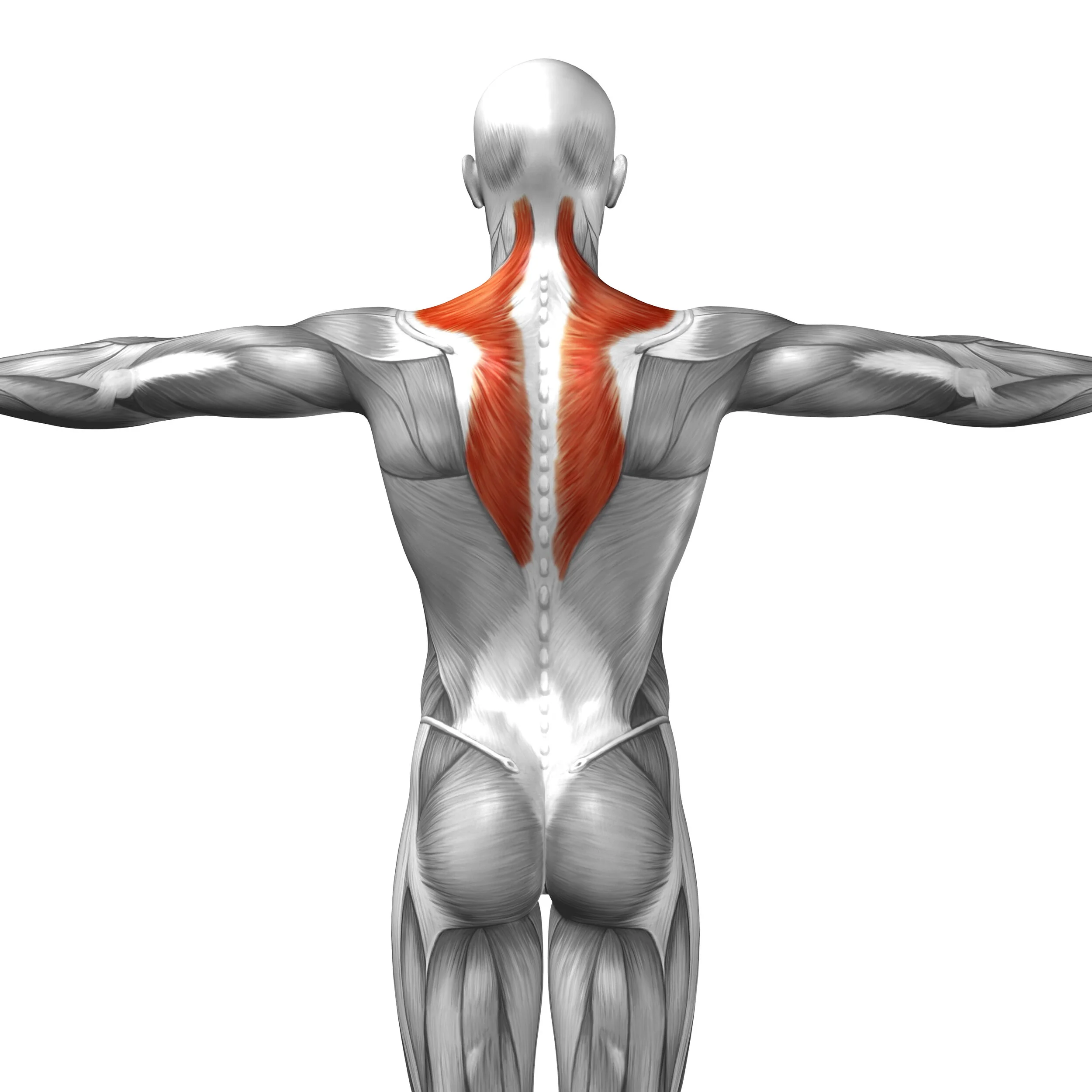 Back Pain: Causes, Treatments and Prevention