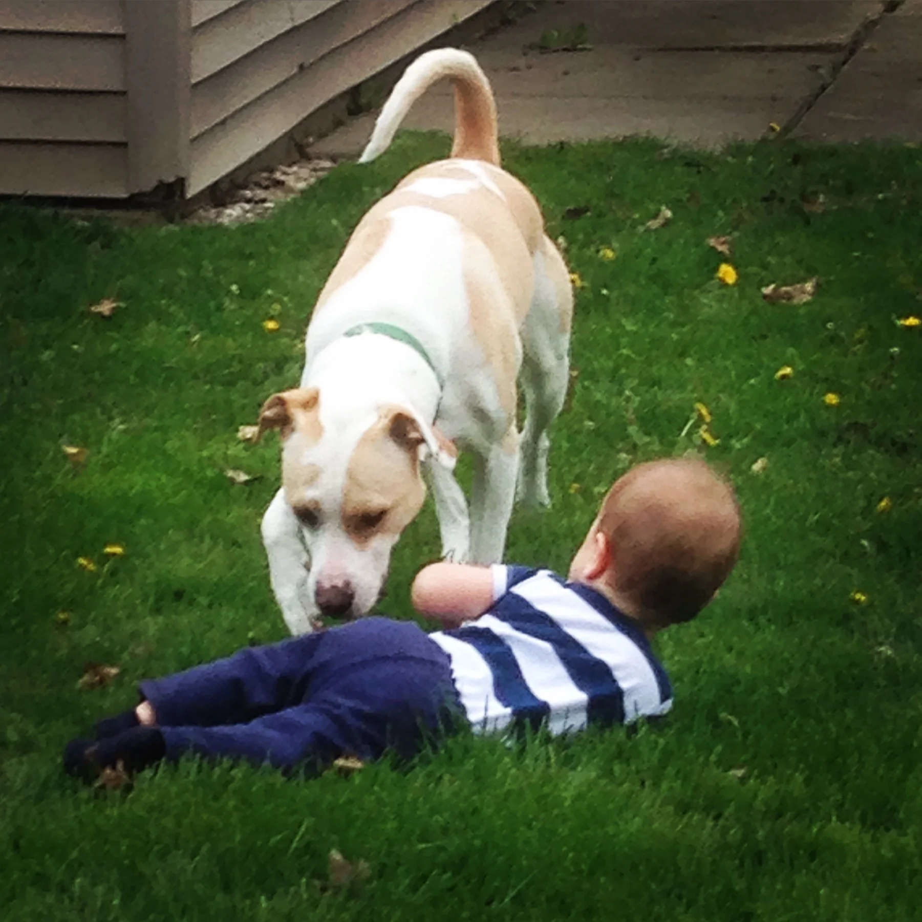 Seen here with her own Brobarian.