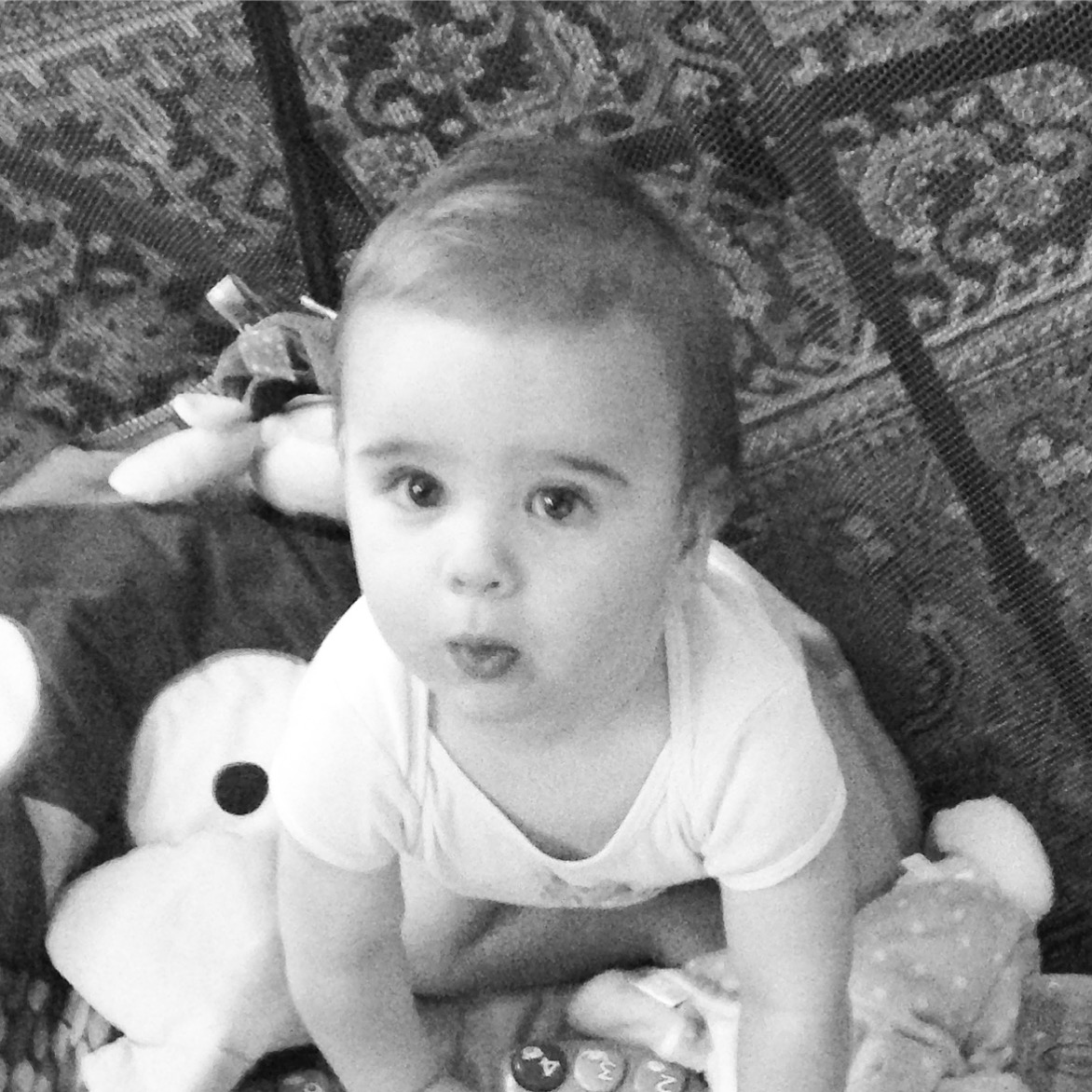 Not to worry, even thought I finished the book, I still have my own little Brobarian who keeps me on my toes.