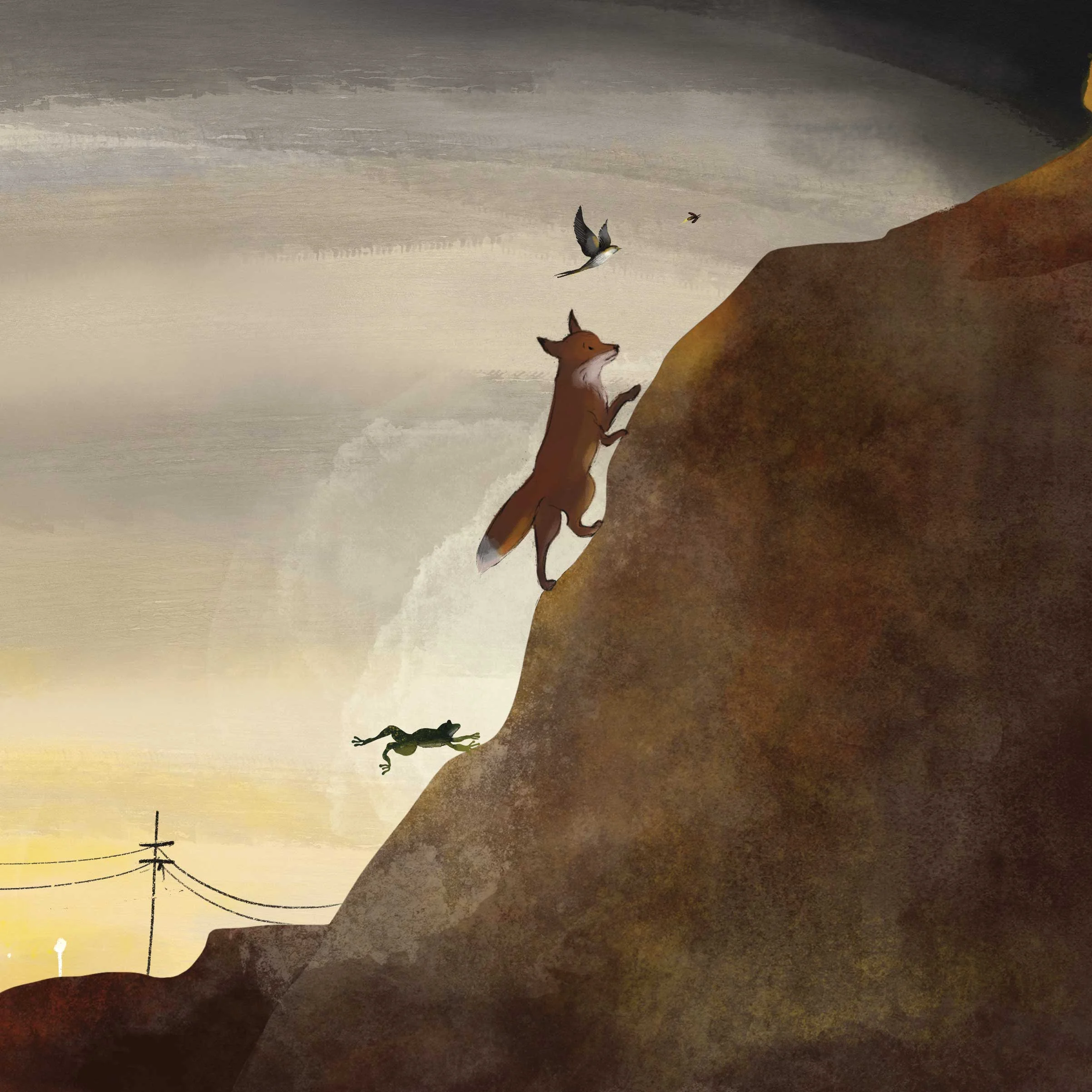 Sneak peek from LIGHTS OUT! written by Marsha Diane Arnold, Illustrated by Susan Reagan
