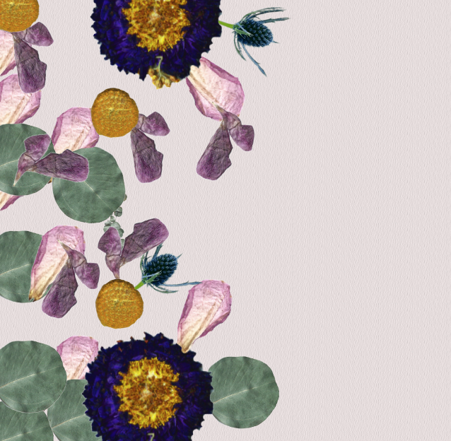 Lets Bloom
