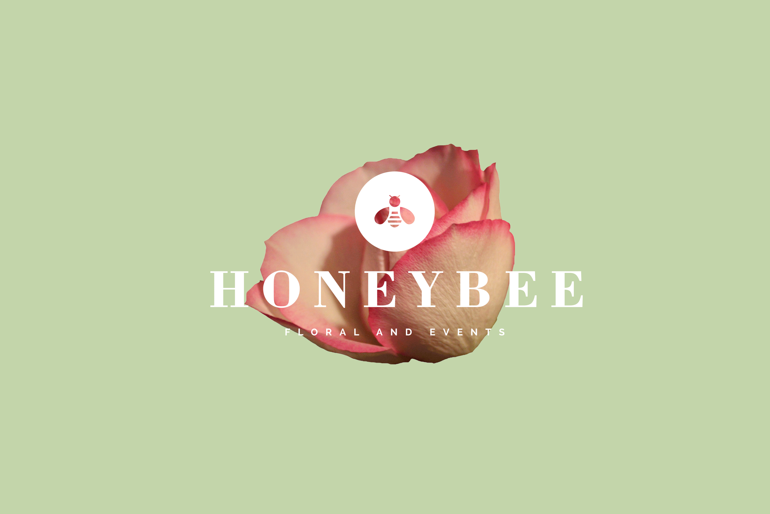 Old branding concept from the archives