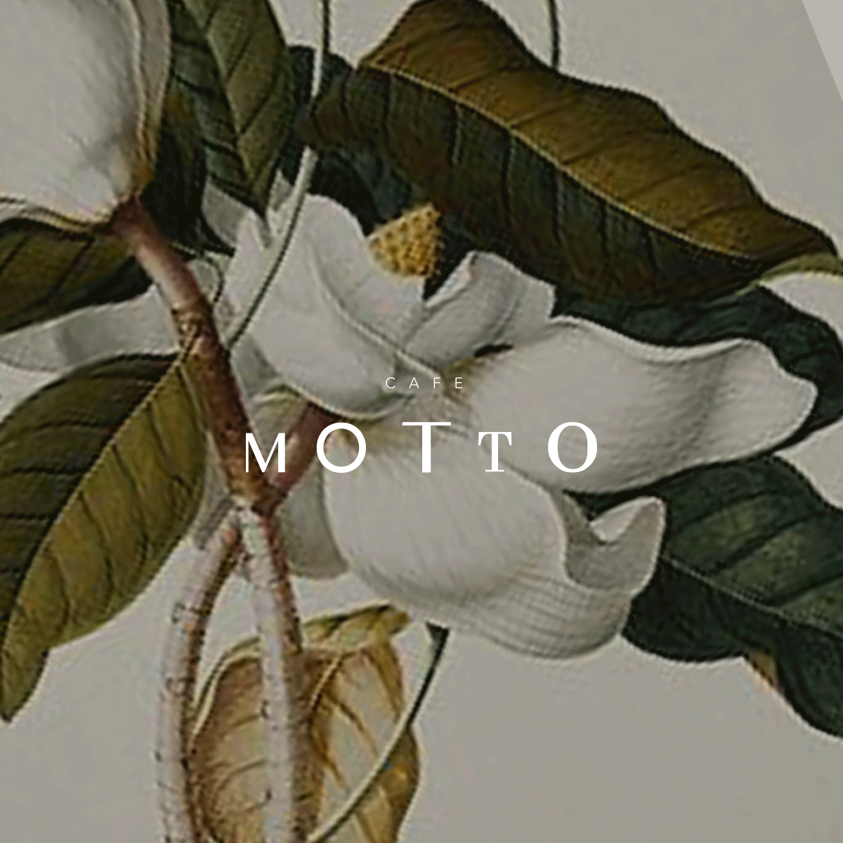 Untitled-1.gif