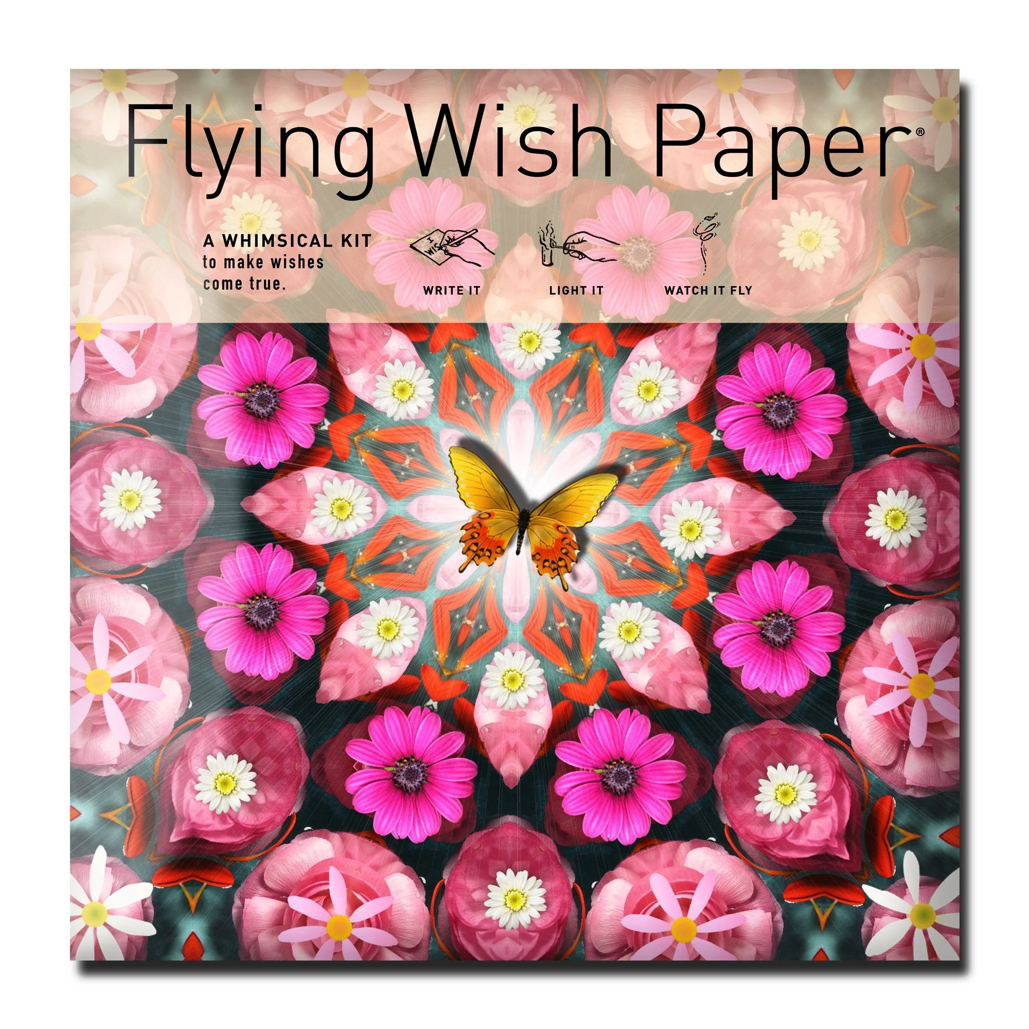 pink butterfly.jpg