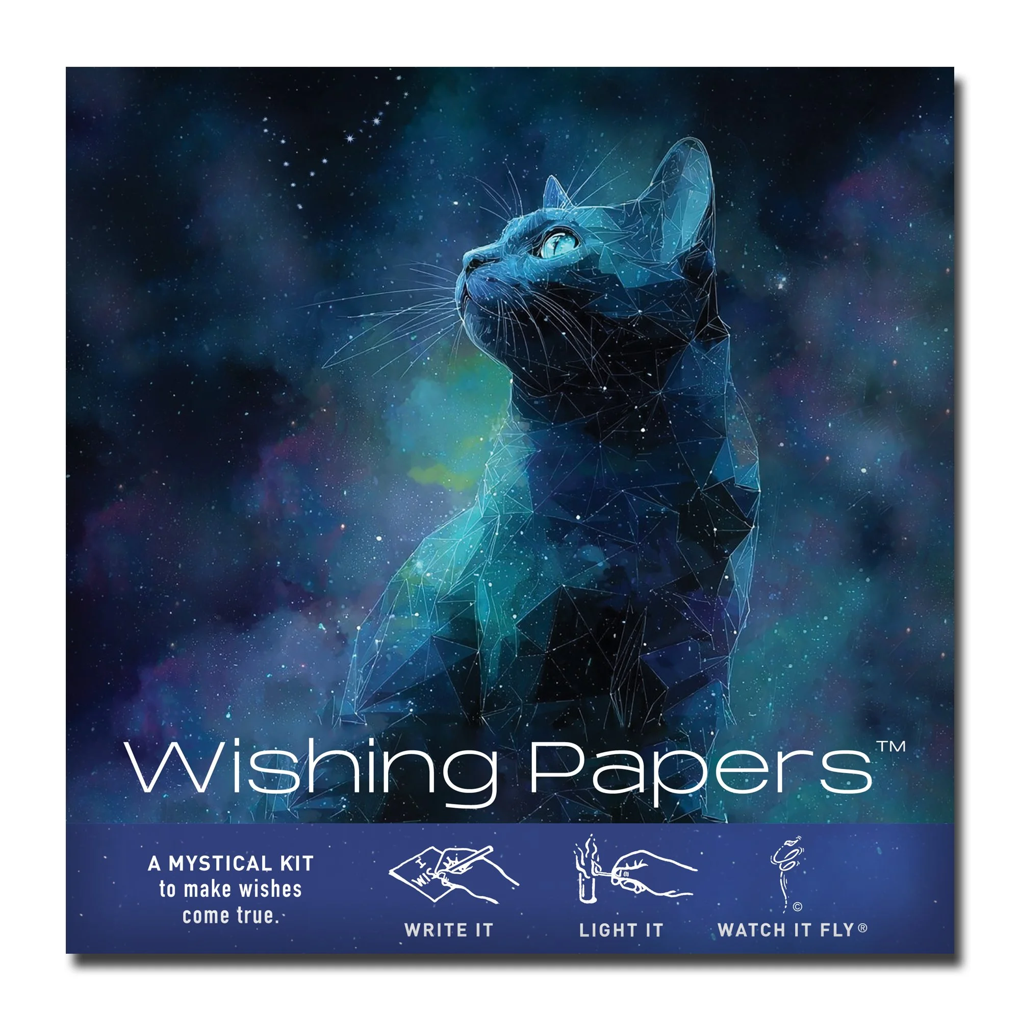 COSMIC CAT (1).jpg