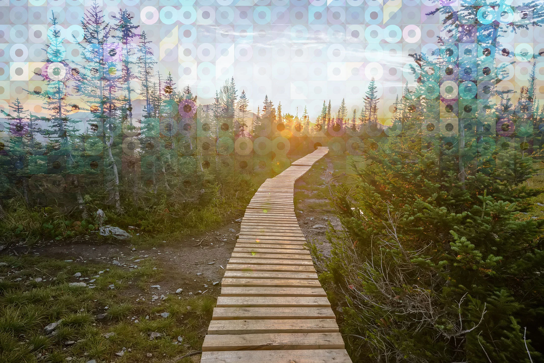 BoardwalkPattern.jpg