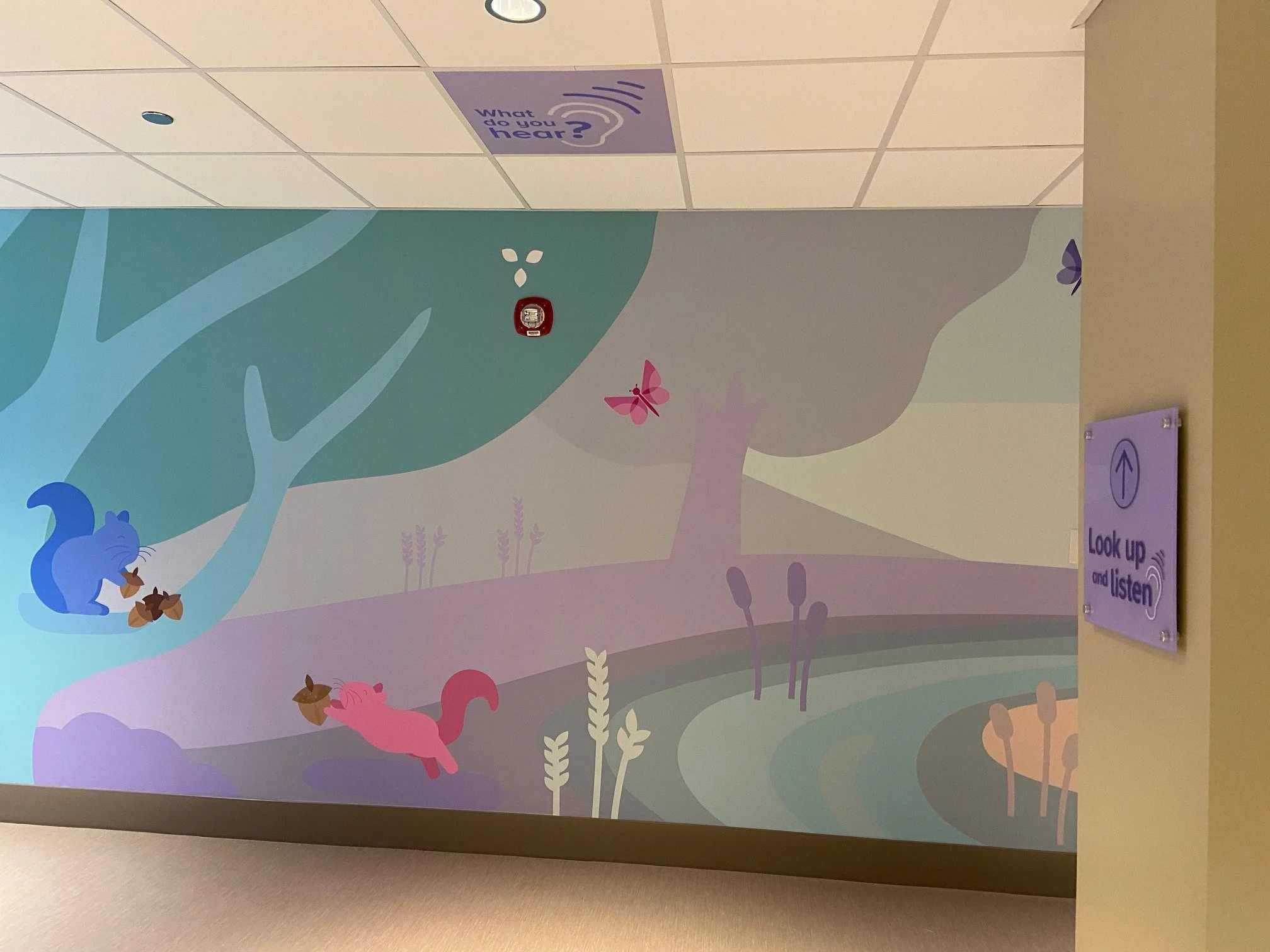 CCH E4 Ophthalmology Renovation.jpeg