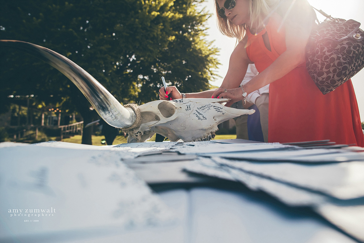 Guest book cow skull