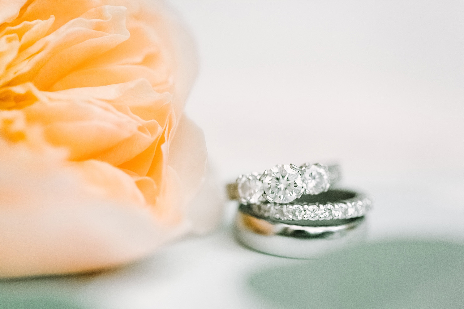 wedding ring picture with apricot rose