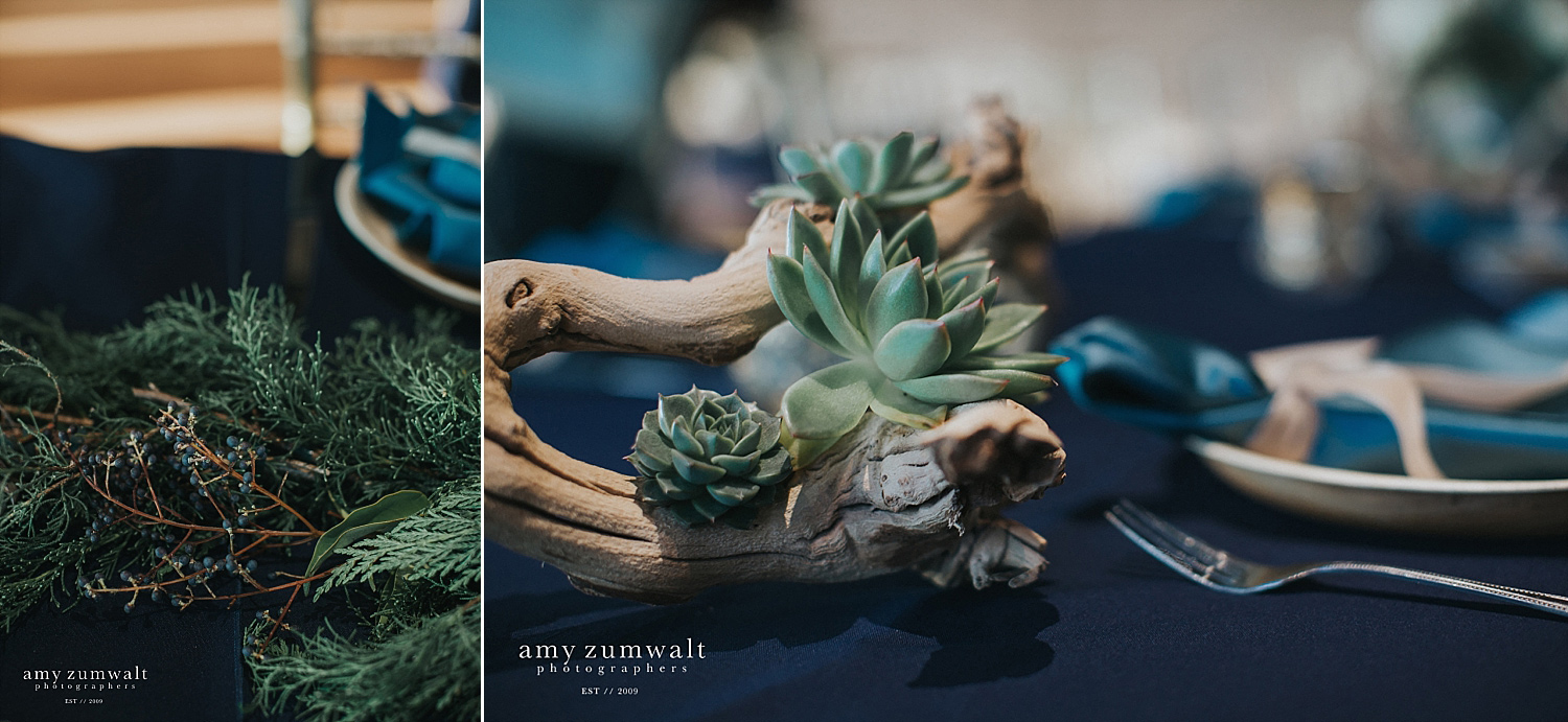 Succulents and driftwood