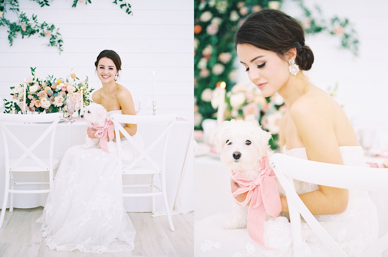 Bride holding a white dog with a pink ribbon