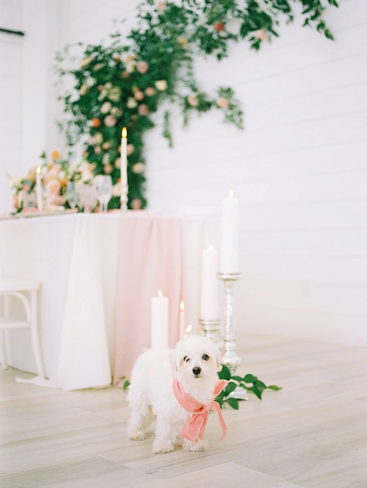 White do ringbearer at blush wedding