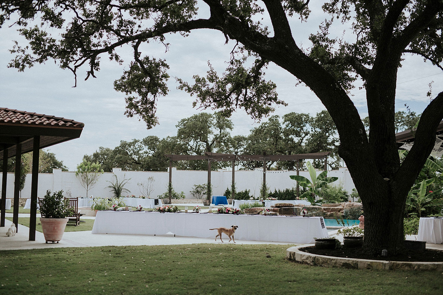 Garden Grove Wedding and Event venue wedding by the pool