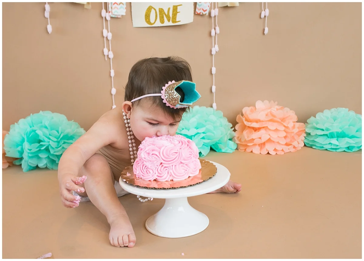 South Jersey Cake Smash Photographer, Medford Child photographer