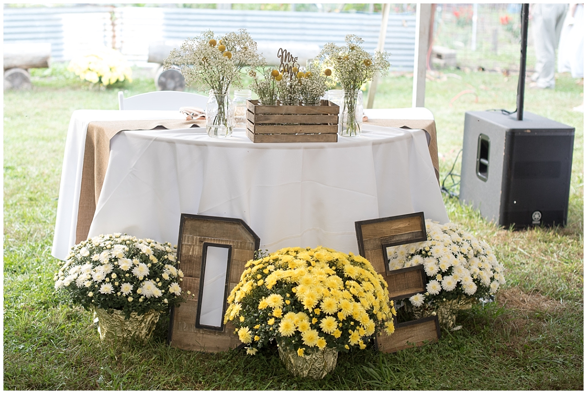 Backyard bee themed wedding, South Jersey Wedding Photographer