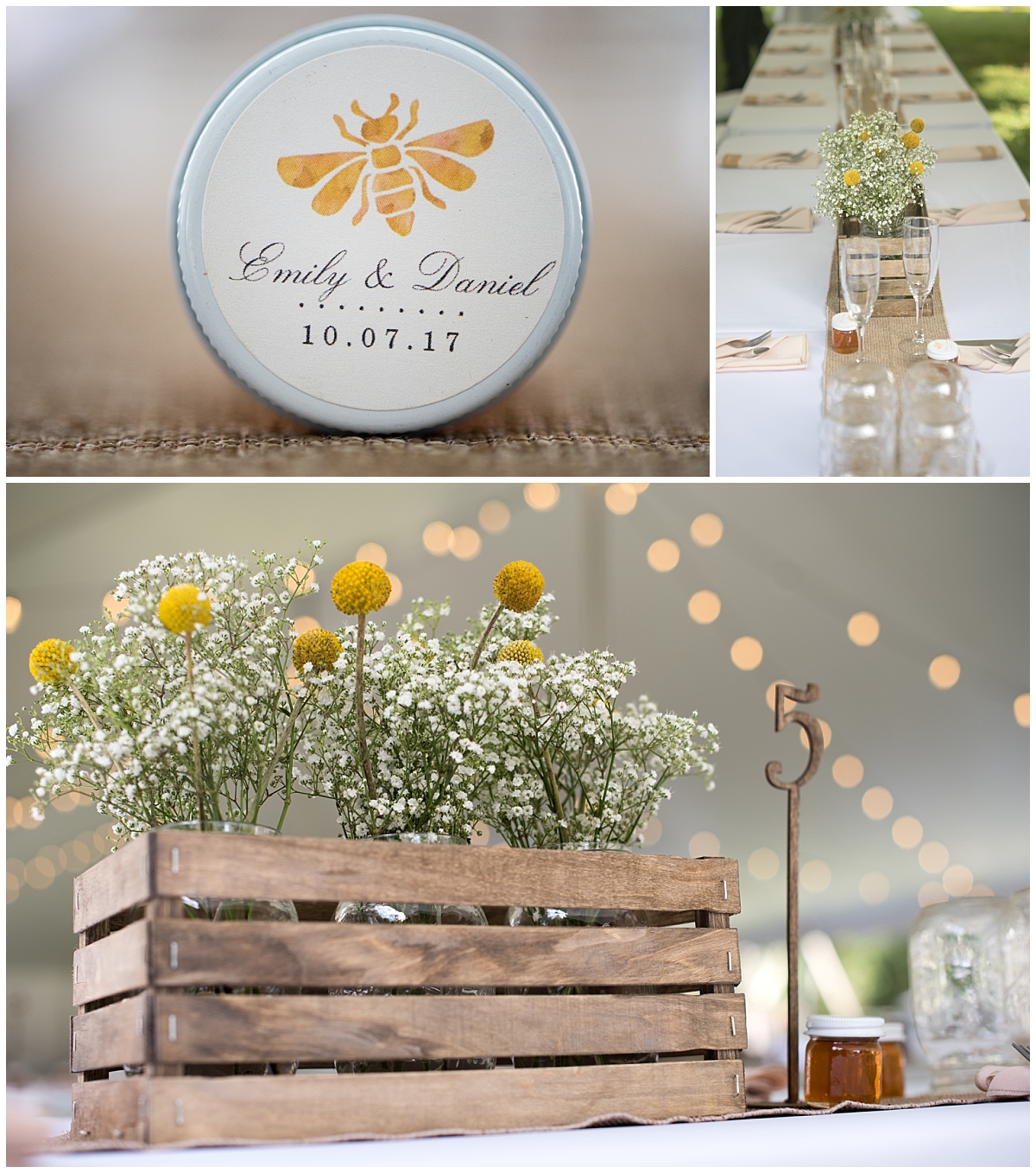 Backyard bee themed wedding, South Jersey Wedding Photographer