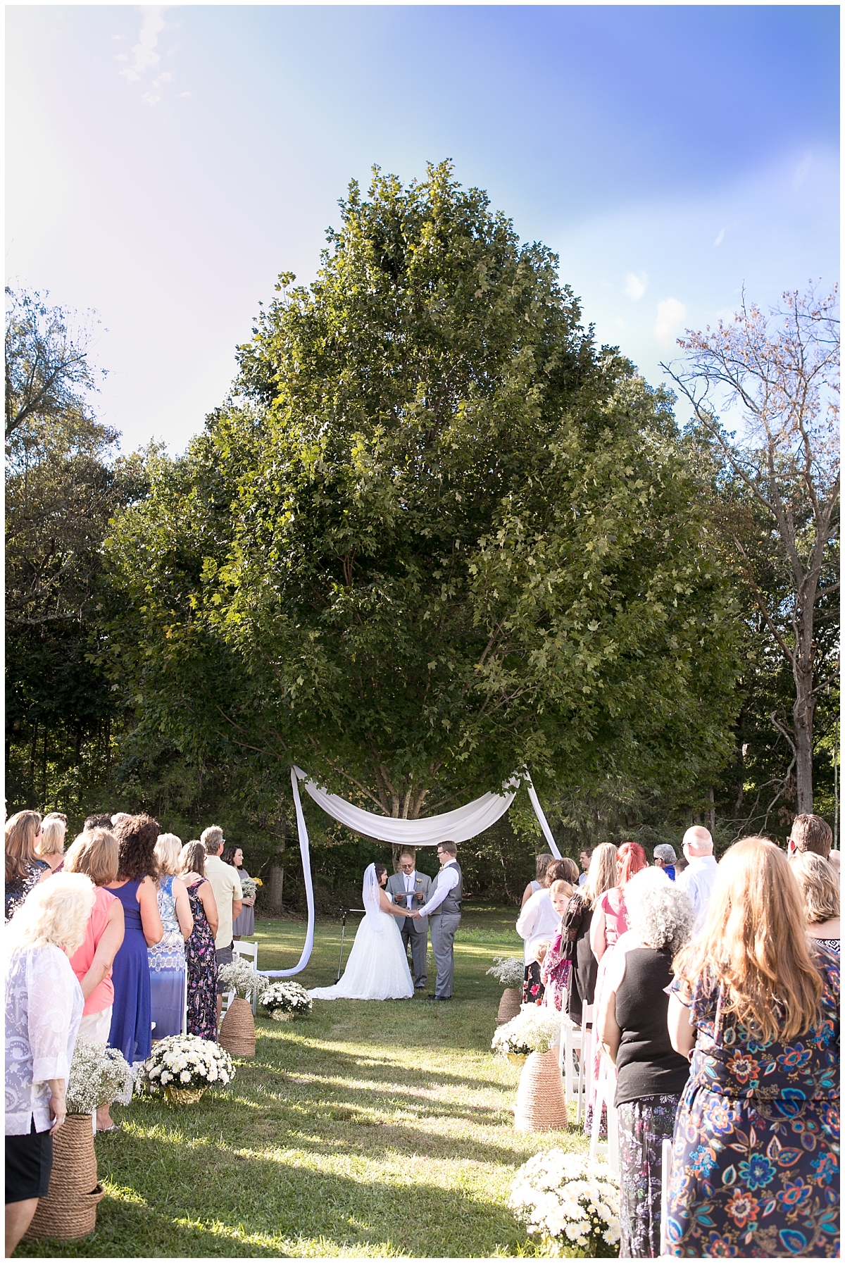 Backyard bee themed wedding, South Jersey Wedding Photographer