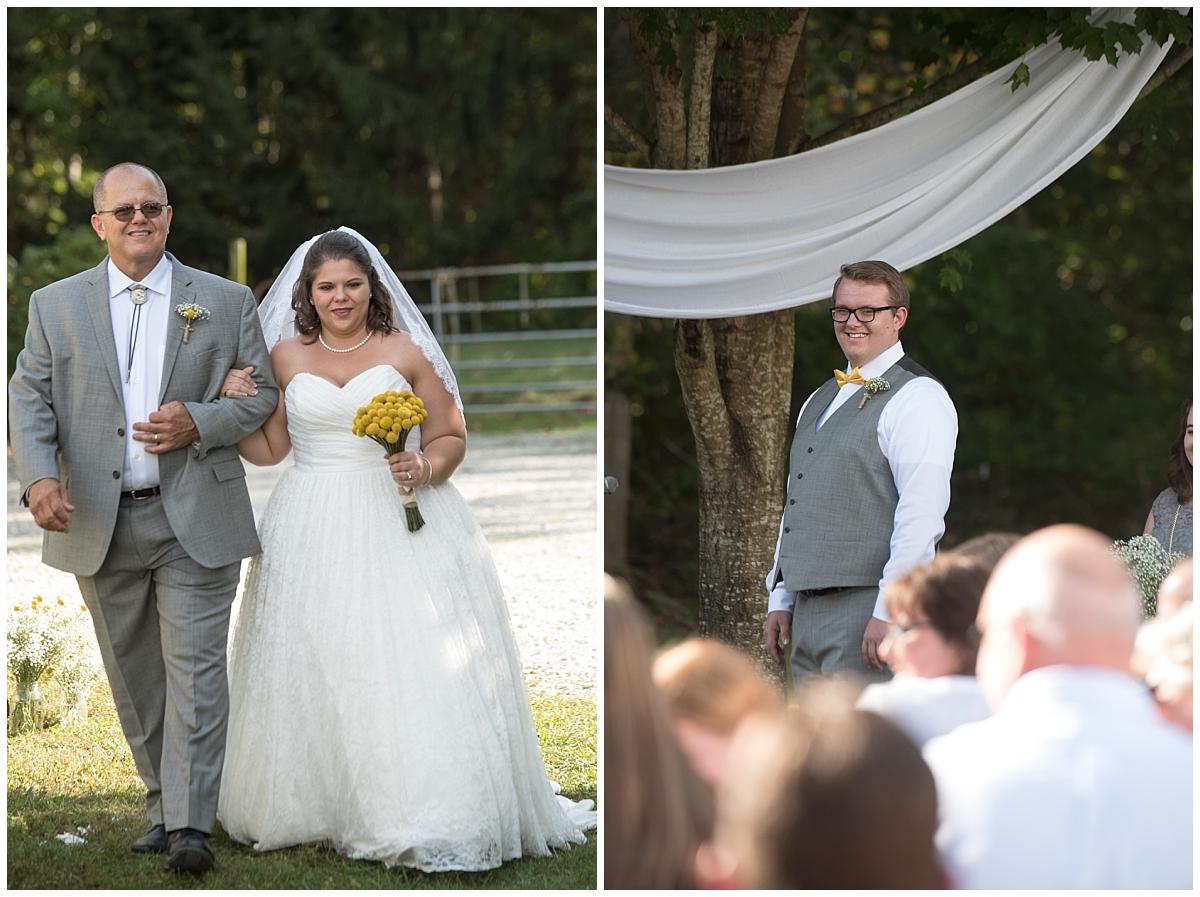 Backyard bee themed wedding, South Jersey Wedding Photographer