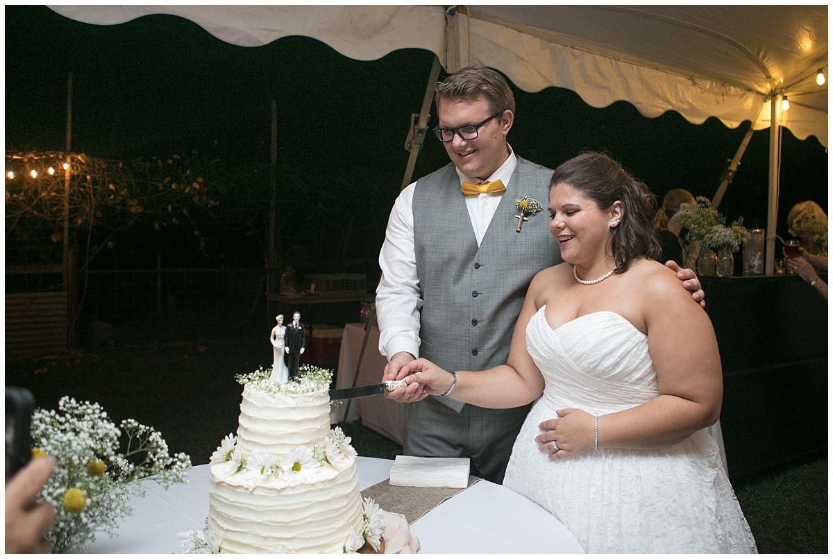 Backyard bee themed wedding, South Jersey Wedding Photographer