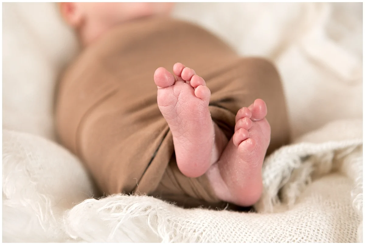 South Jersey Newborn Photographer, Medford Newborn Photographer