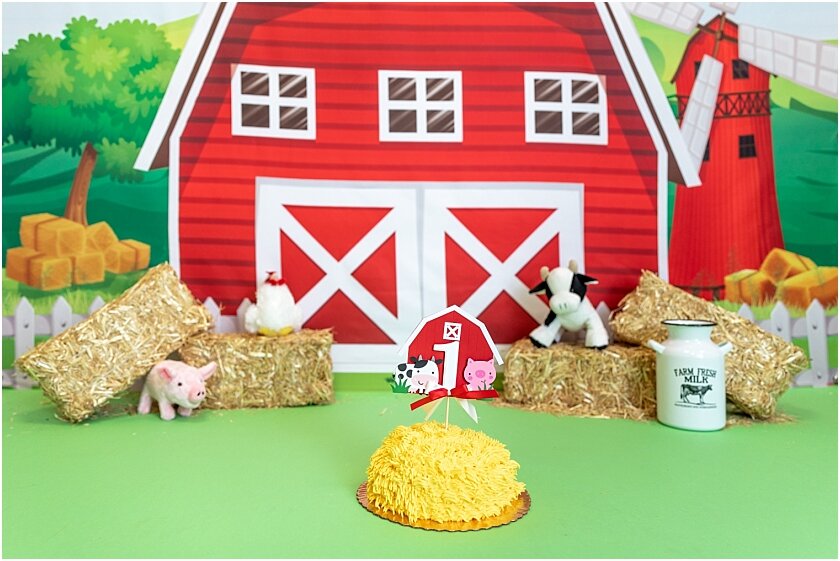 Old McDonald Farm Animal Cake Smash 009