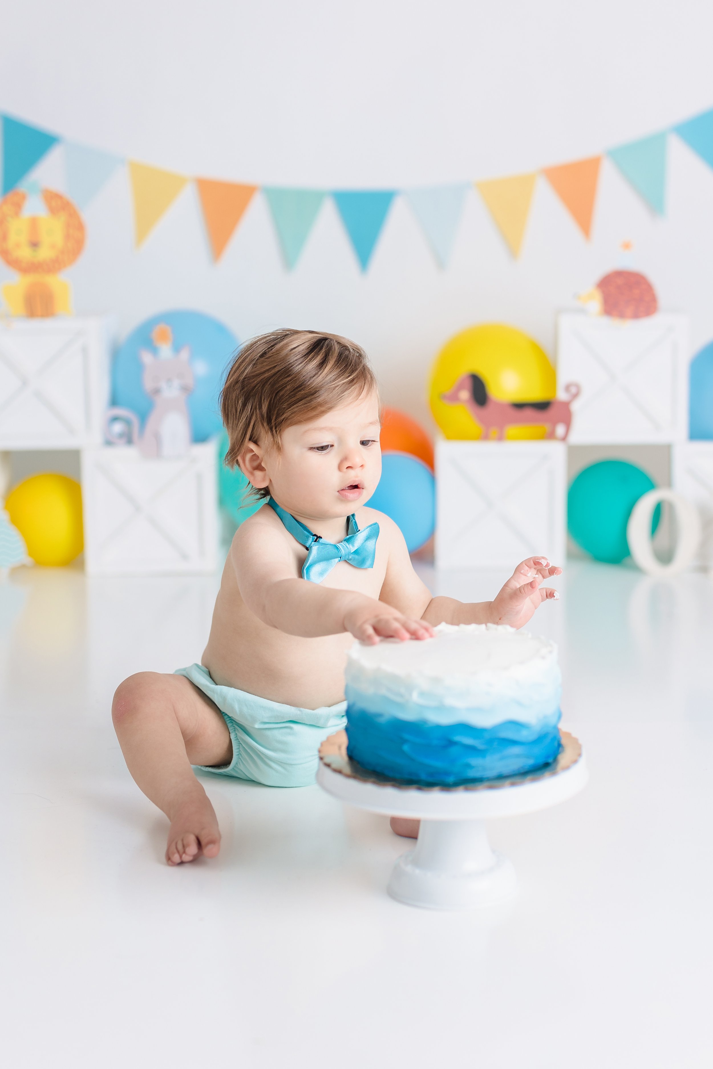South Jersey First birthday cake smash photographer session 008.JPG