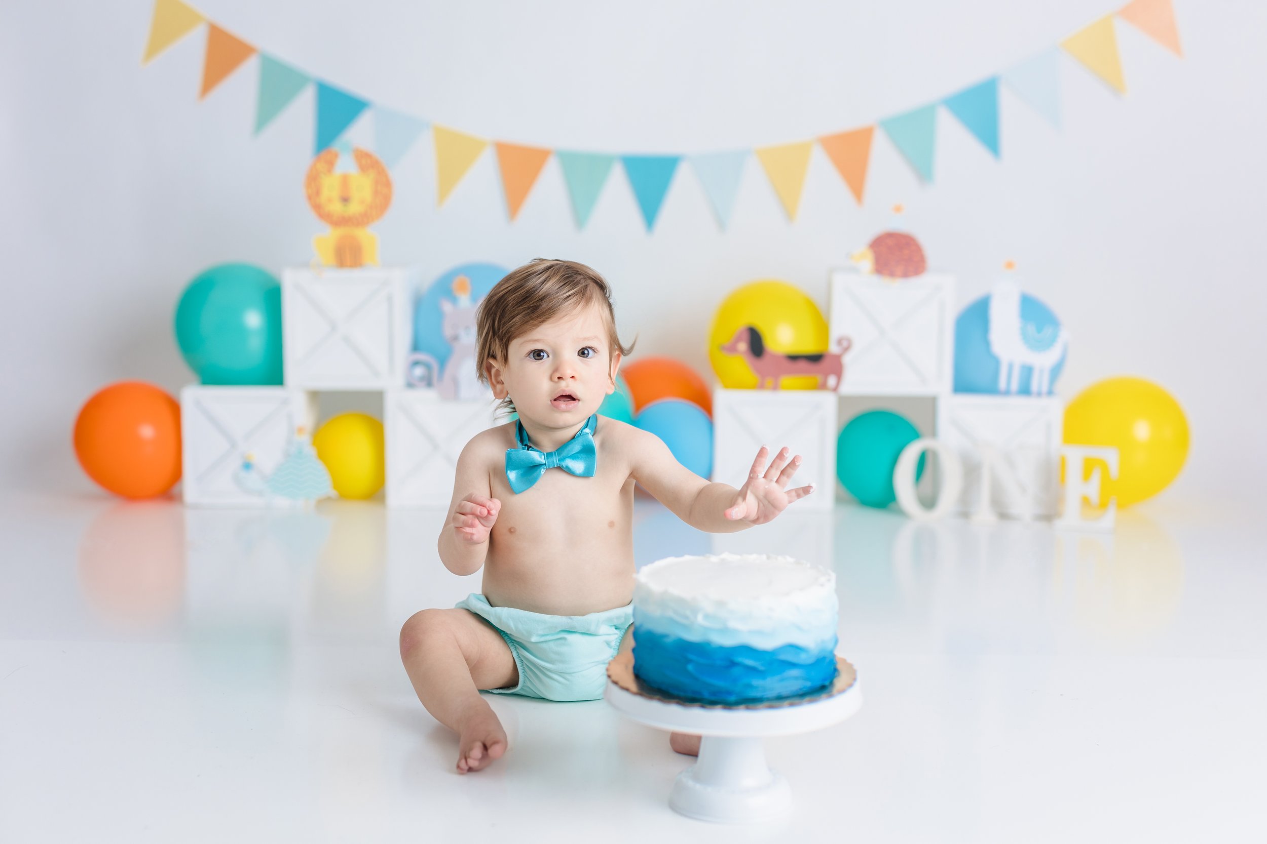 South Jersey First birthday cake smash photographer session 007.JPG