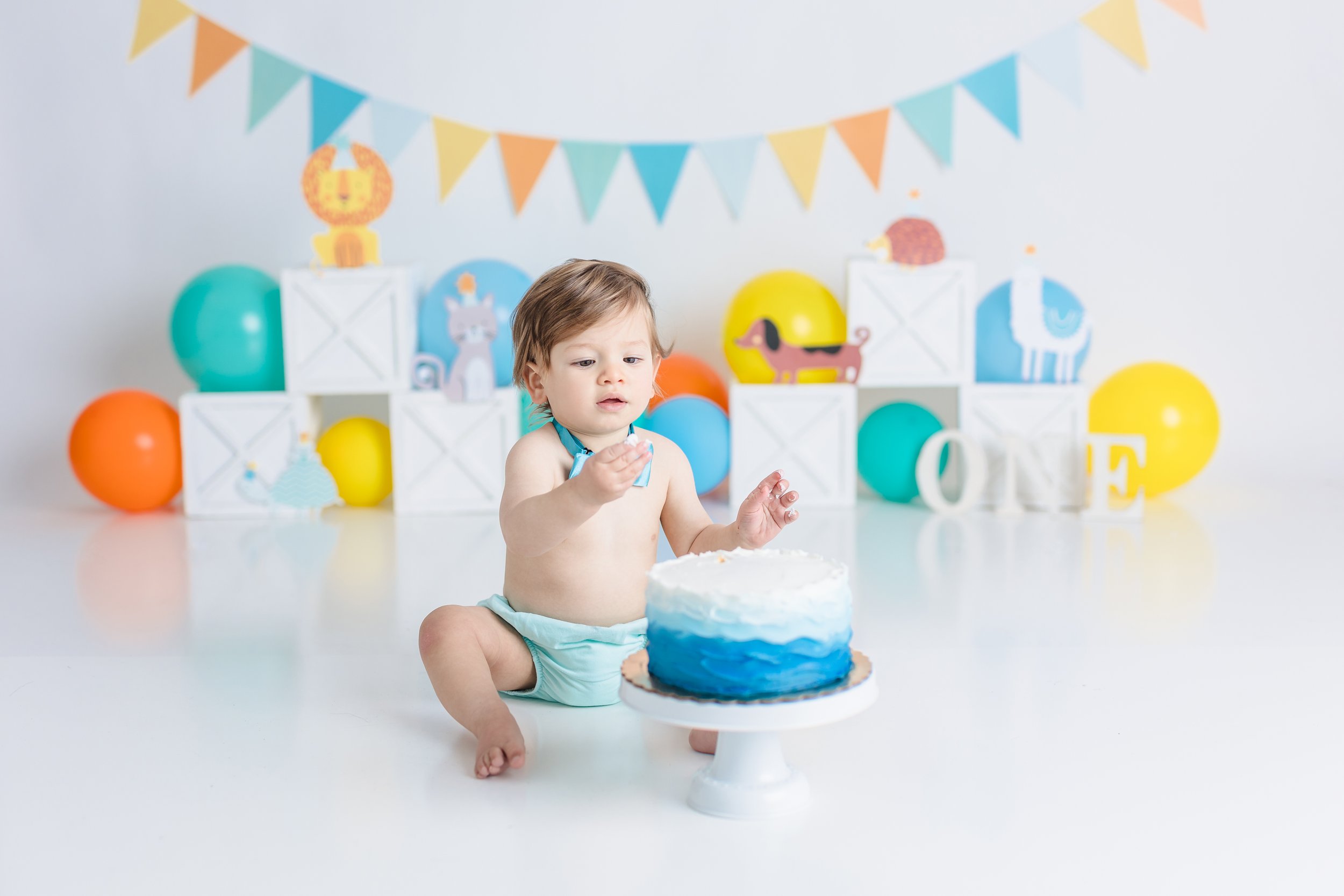 South Jersey First birthday cake smash photographer session 009.JPG