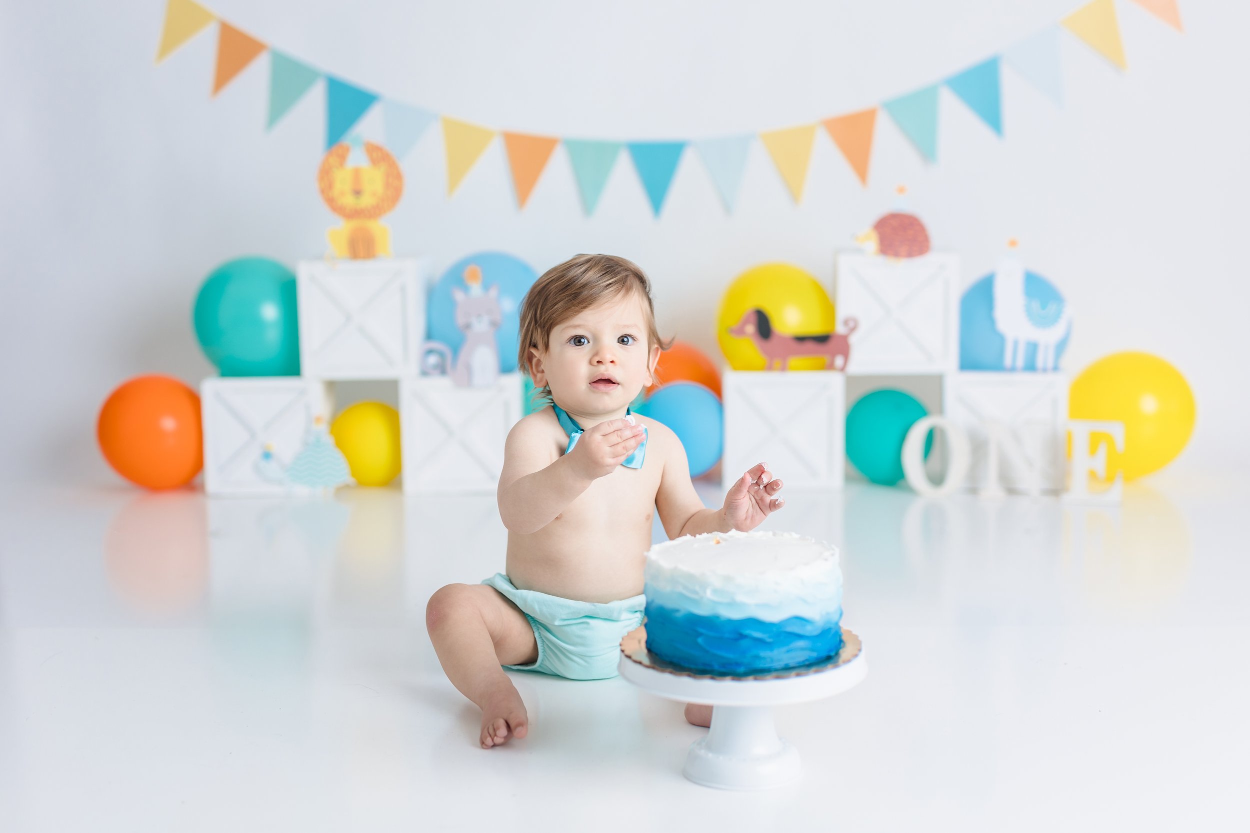 South Jersey First birthday cake smash photographer session 010.JPG