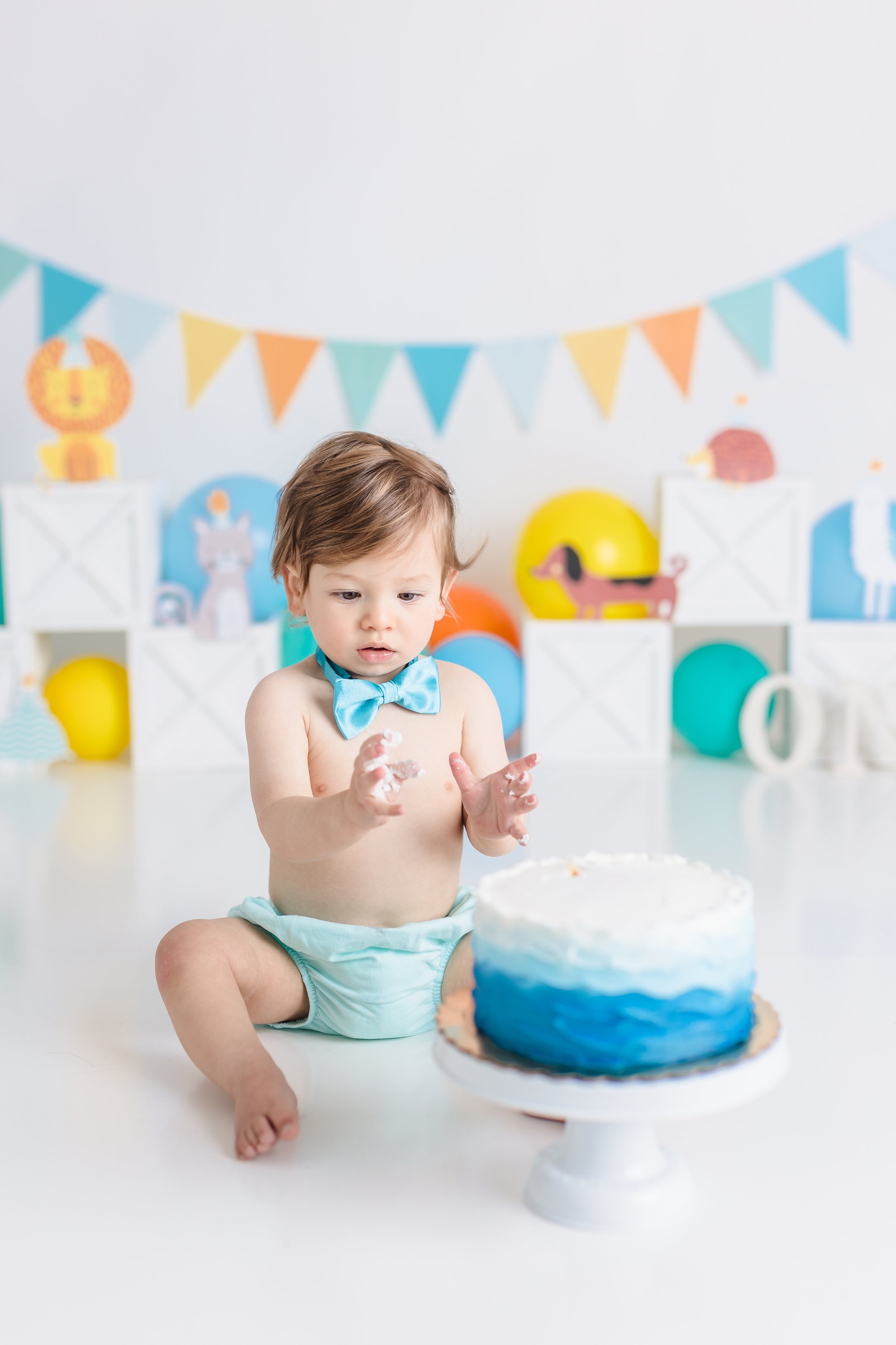 South Jersey First birthday cake smash photographer session 011.JPG