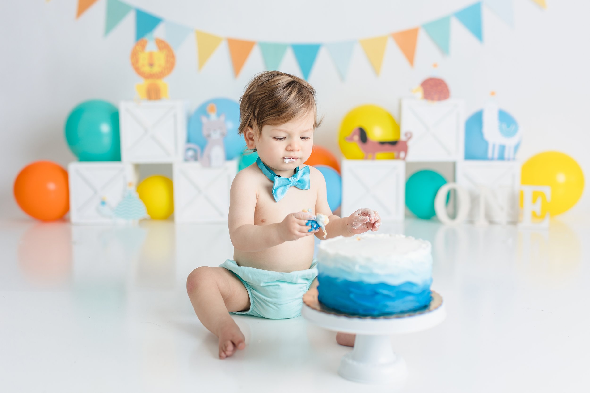 South Jersey First birthday cake smash photographer session 012.JPG