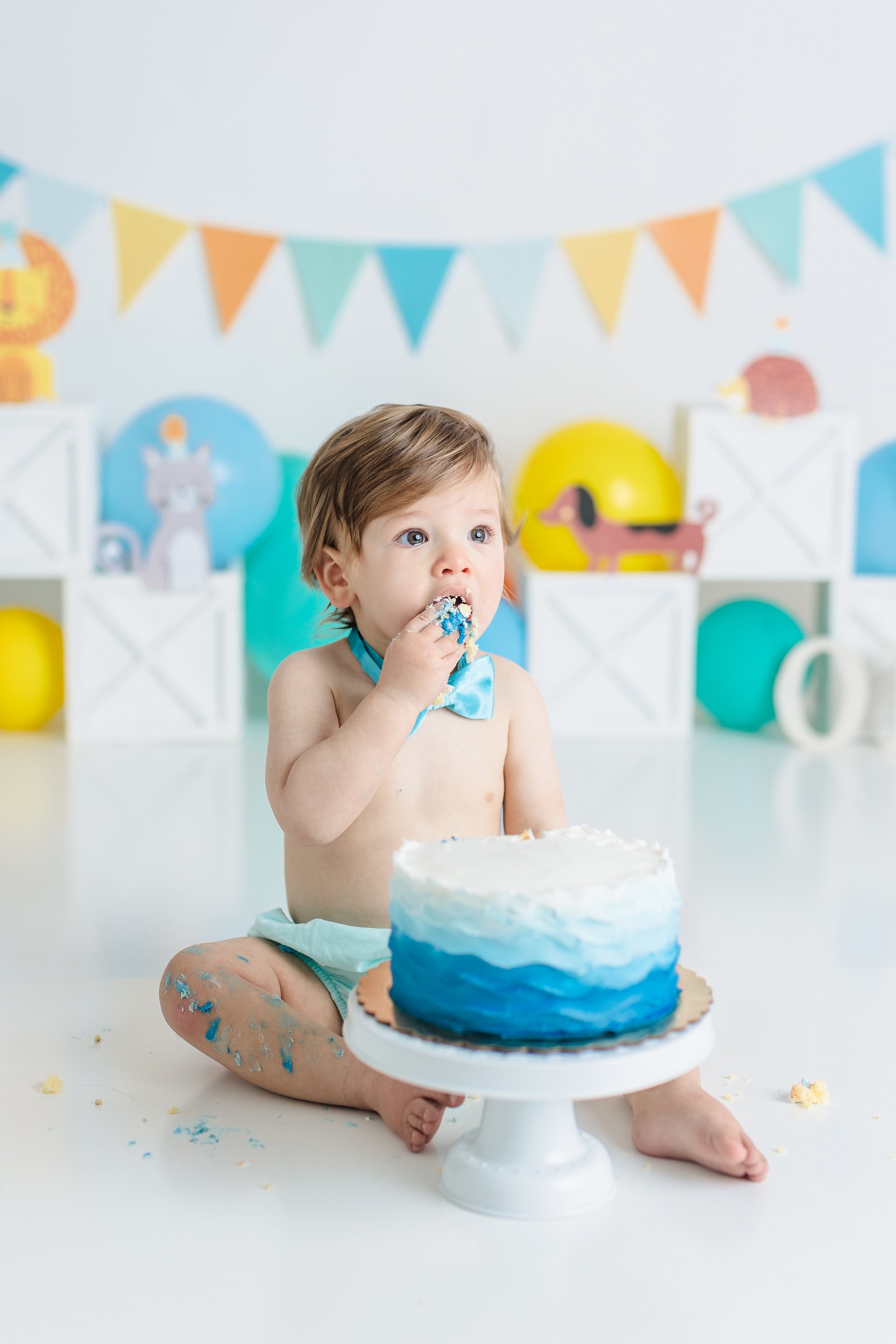 South Jersey First birthday cake smash photographer session 015.JPG