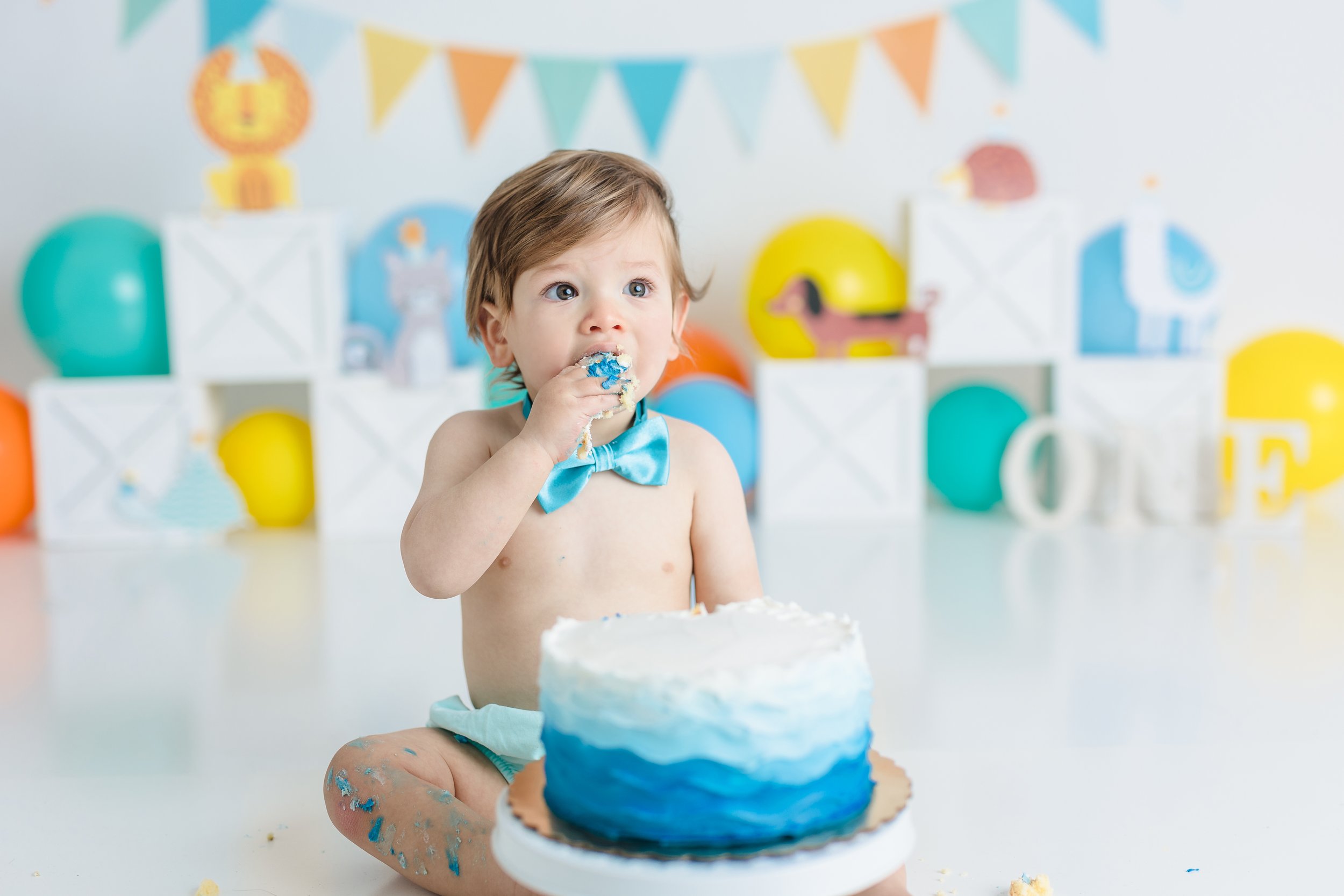 South Jersey First birthday cake smash photographer session 016.JPG