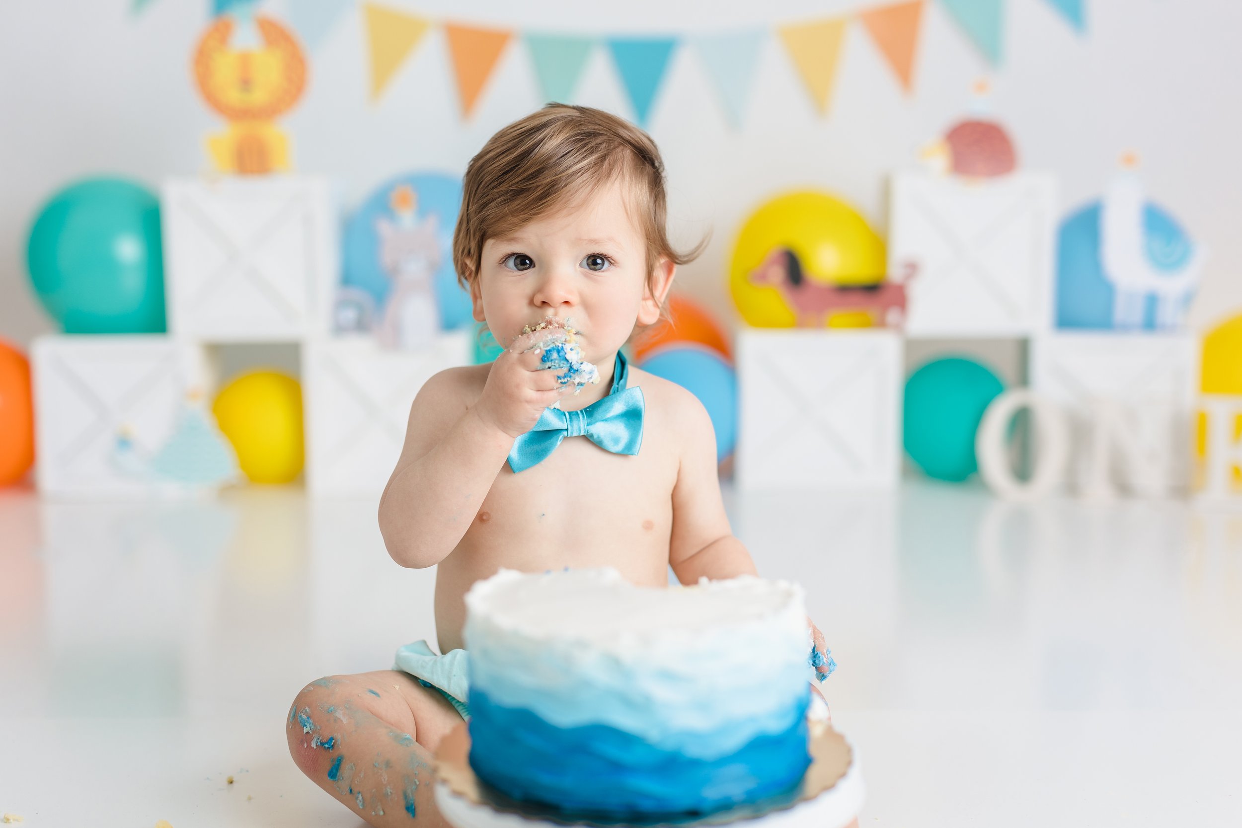 South Jersey First birthday cake smash photographer session 021.JPG
