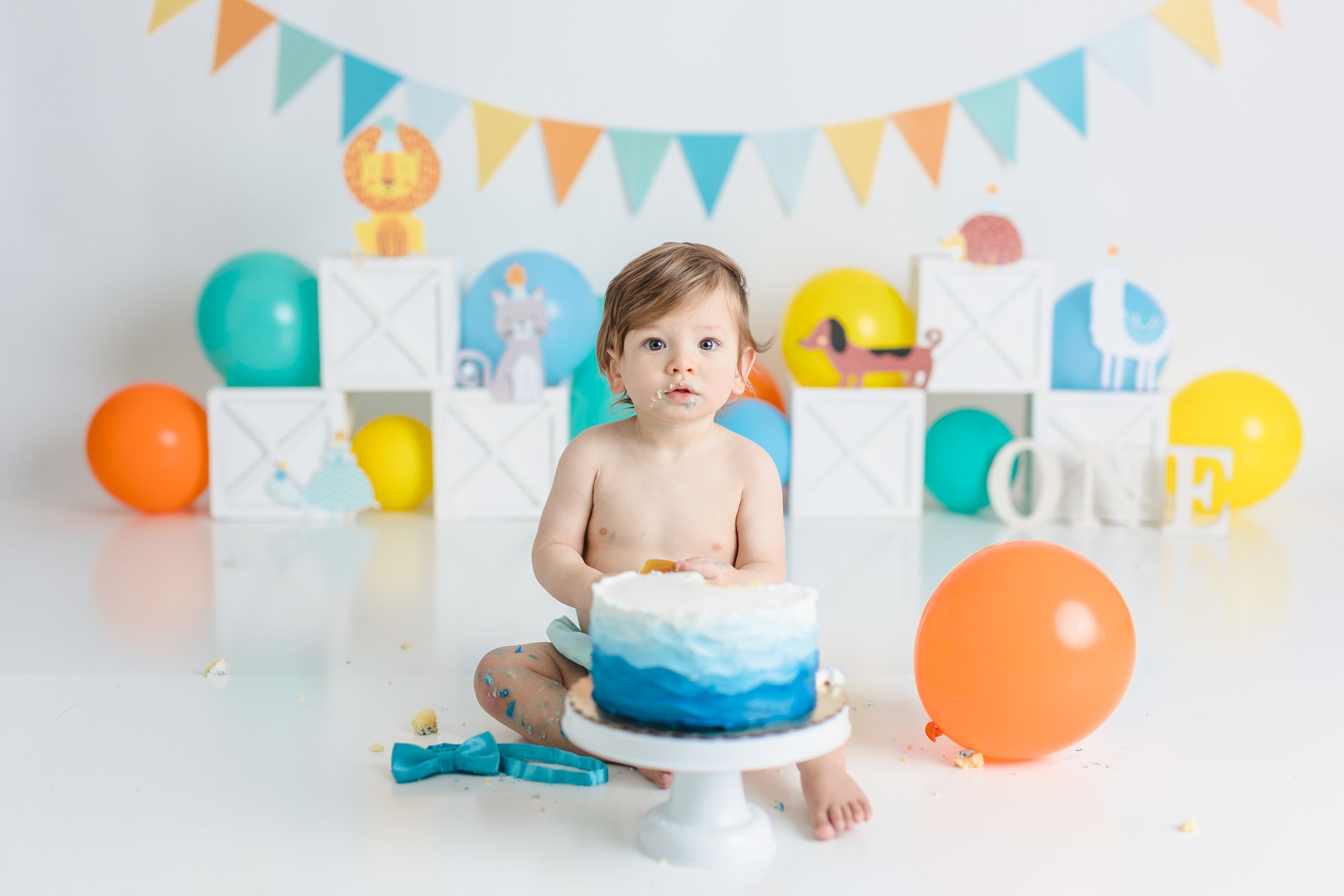 South Jersey First birthday cake smash photographer session 022.JPG