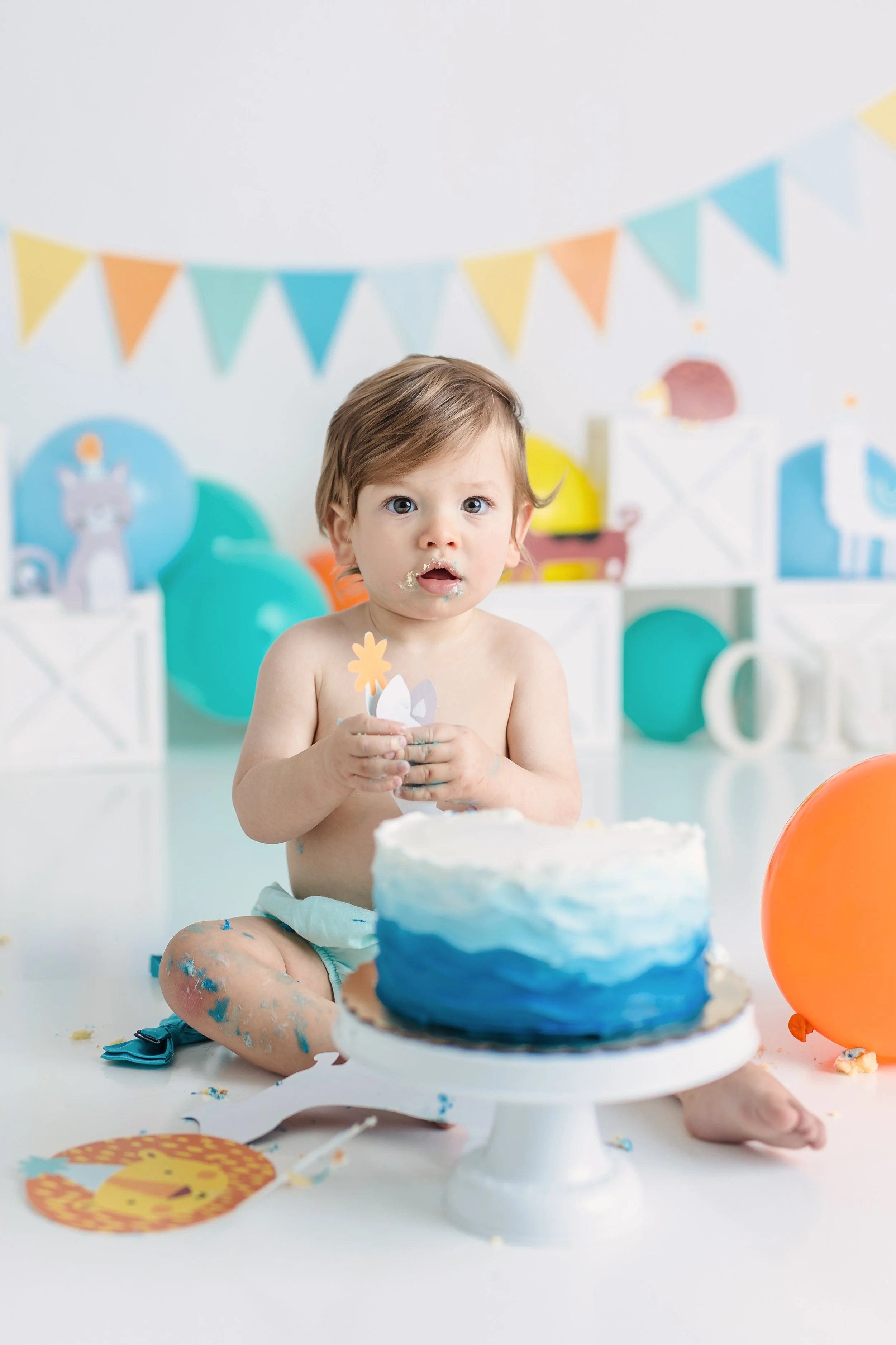 Ramzy's First Birthday and Party Animal Cake Smash