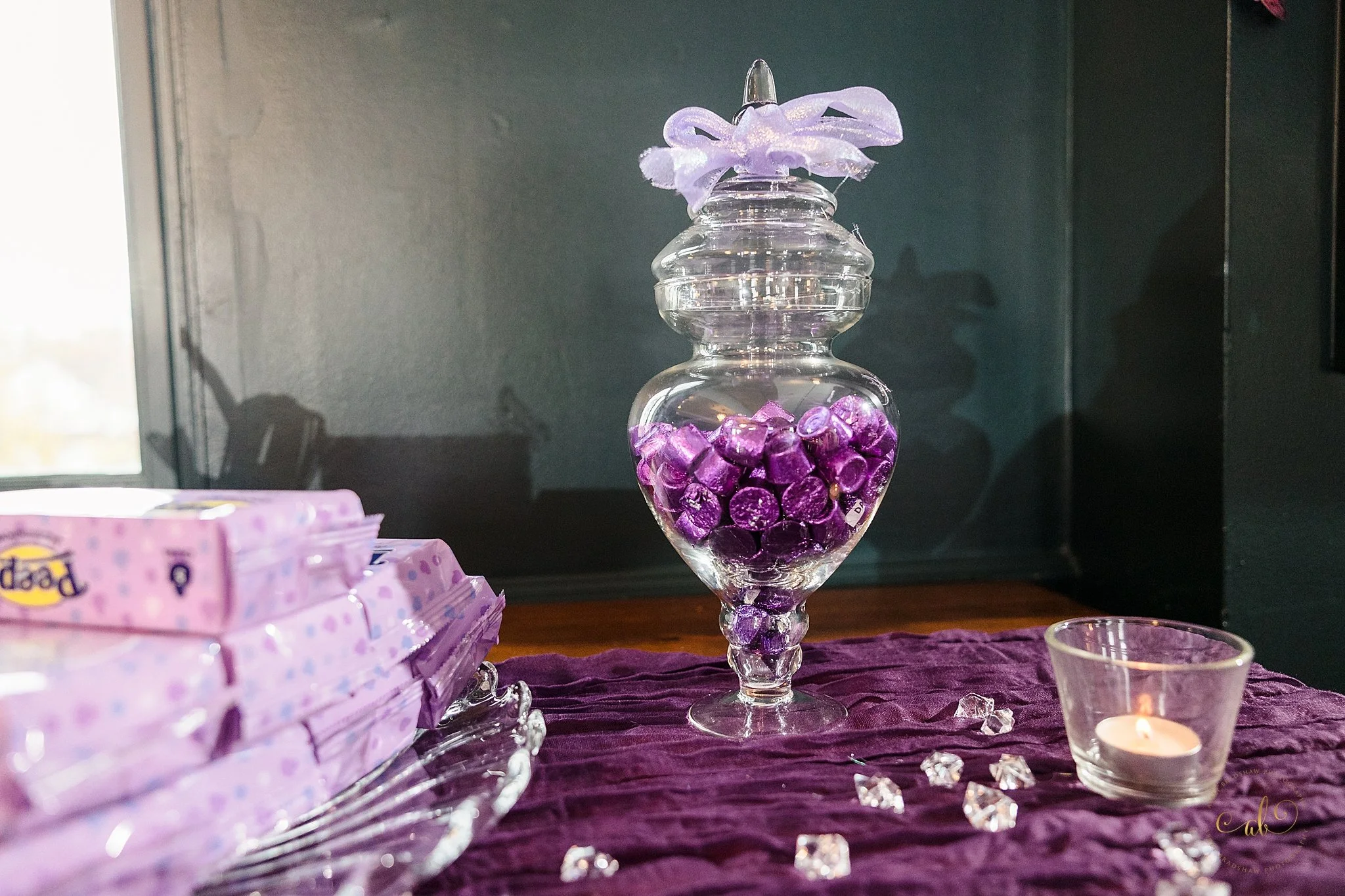 South Jersey Photographer Sweet 16 Party_0006 The Collins Room.jpg