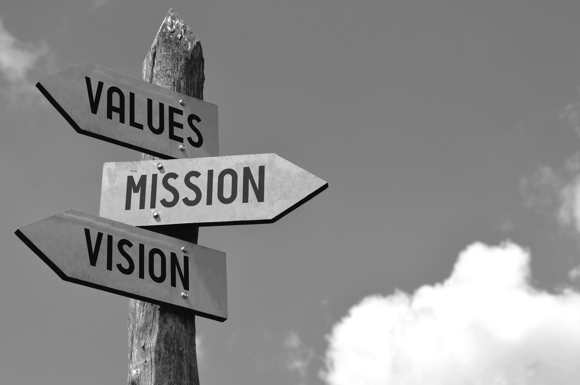 Mission Vision Values