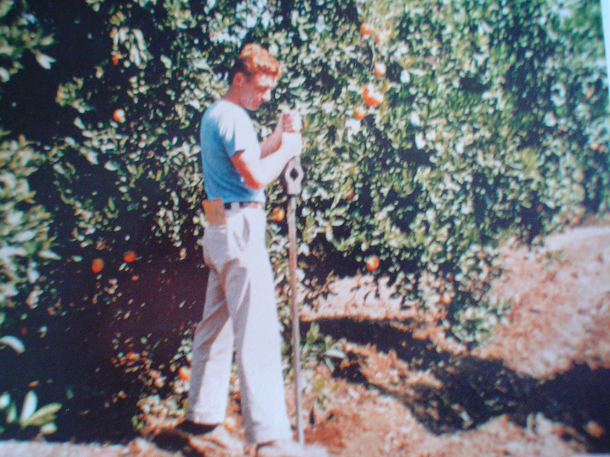Babcock Labs is a part of Riverside's agricultural history, as we tested soil and water for the local orange groves during the citrus boom