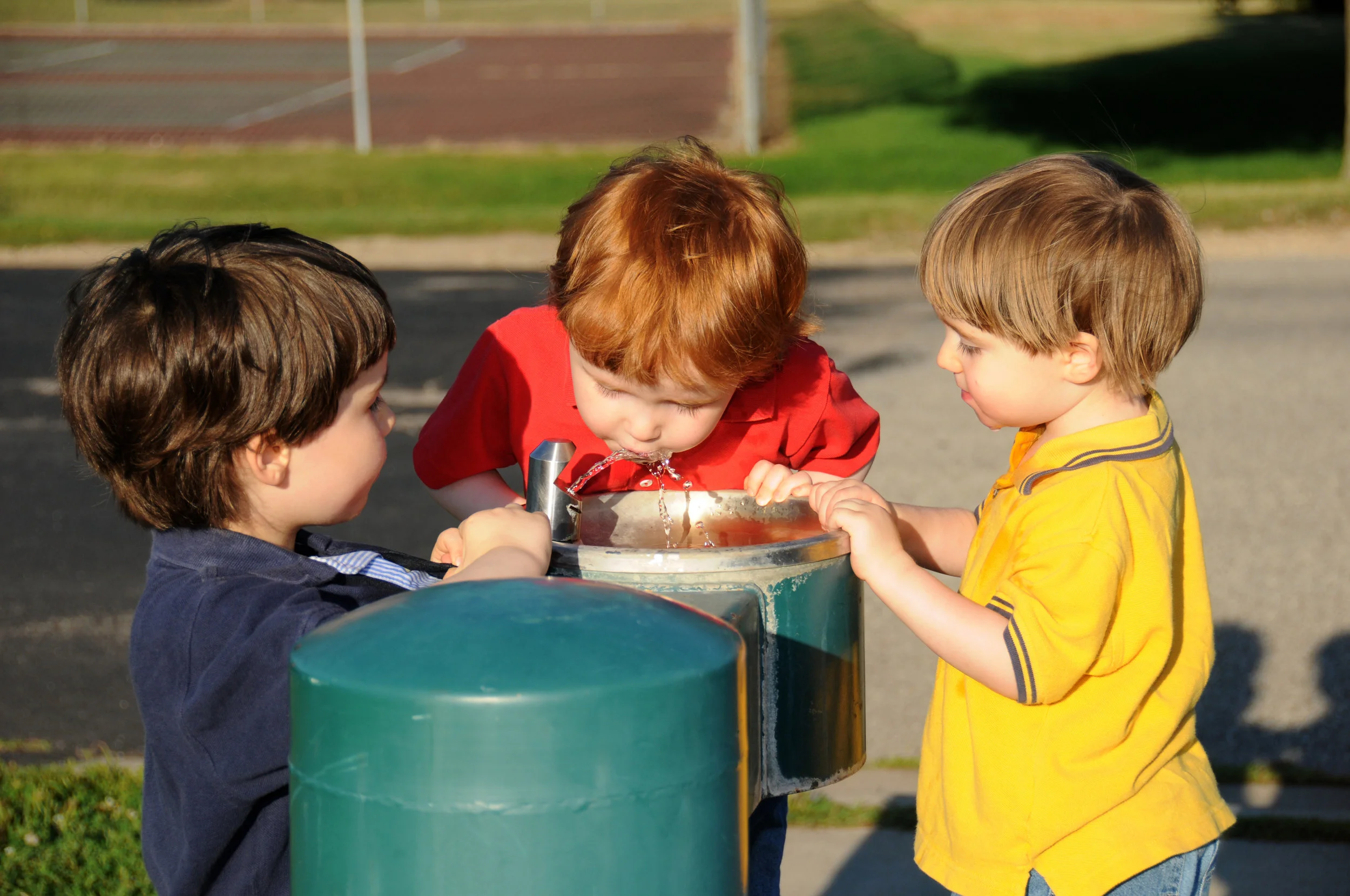 New California state law requires community water systems to test lead levels in the drinking water of schools and in area service lines suspected of lead. Babcock Laboratories is both ELAP and NELAP accredited and has over 20 years of experience determining ultra-trace amounts of lead in drinking water. 