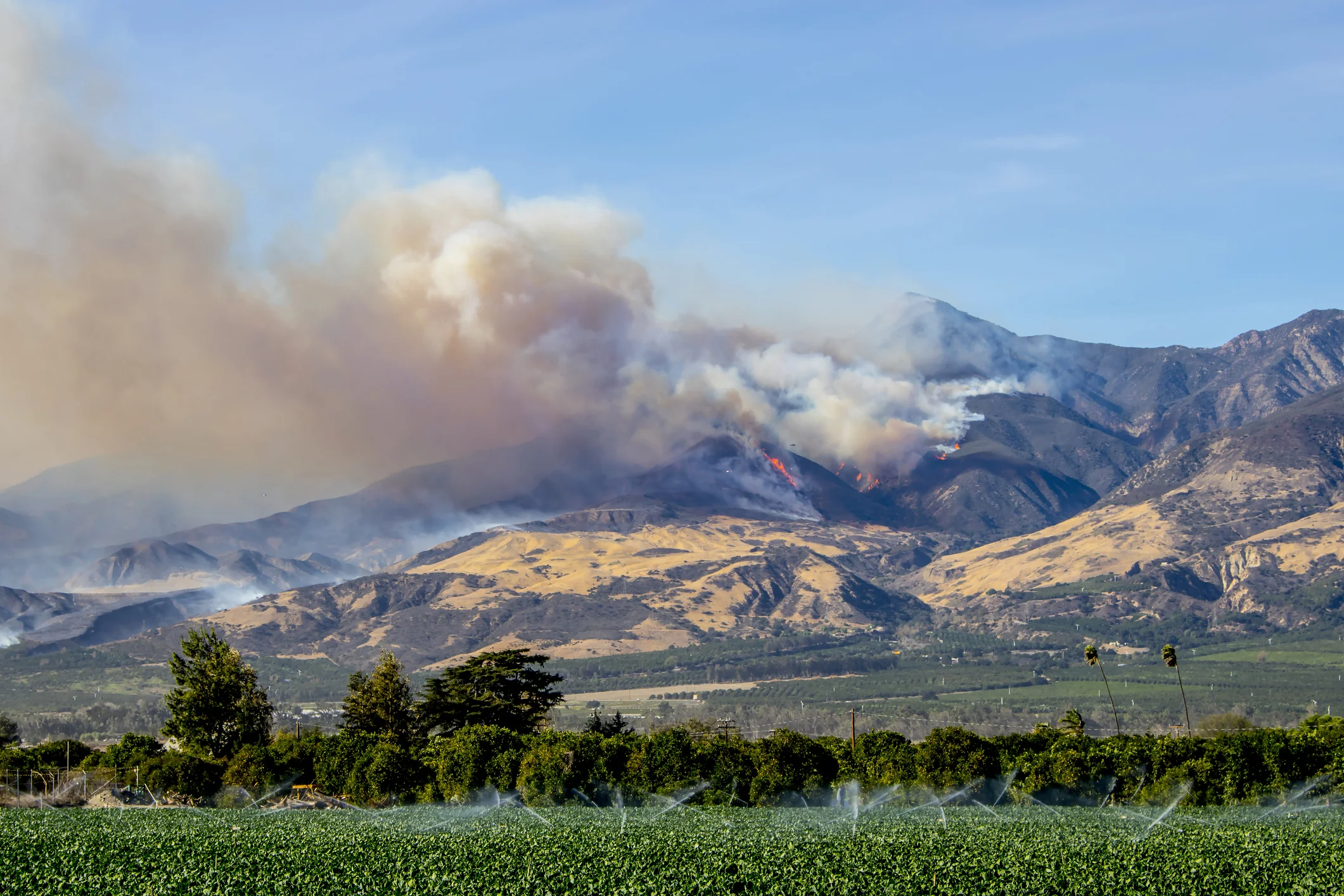 California wildfires—past, present, and future—have a significant impact on the quantity and quality of runoff water, which affects domestic, agricultural, and ecological water supplies