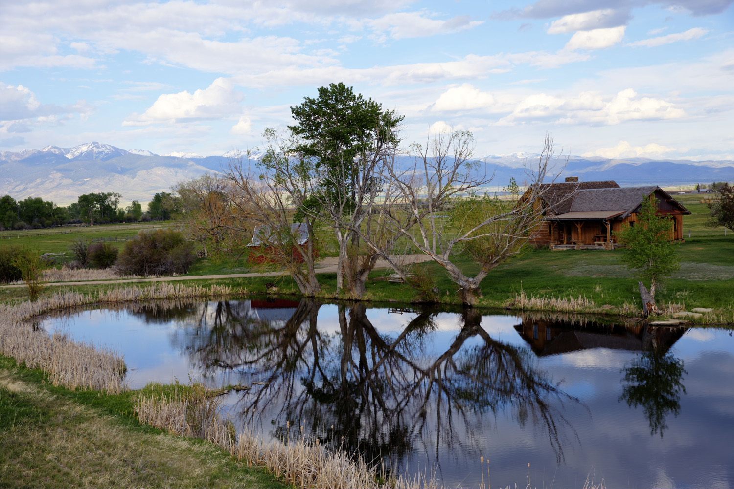 Pond-Cabin-Mtn..jpg