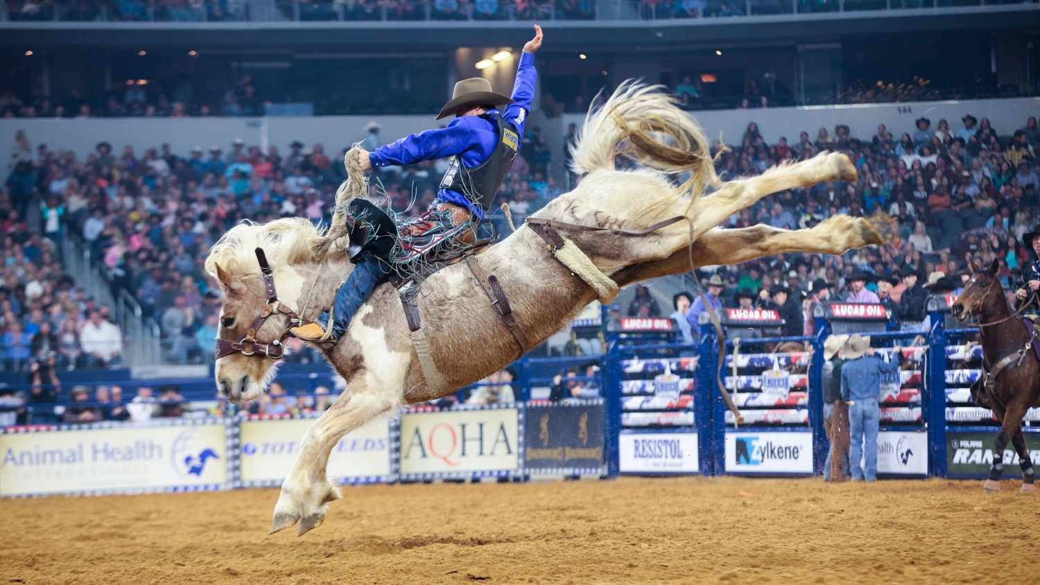 Professional Rodeo Cowboys Association Shot