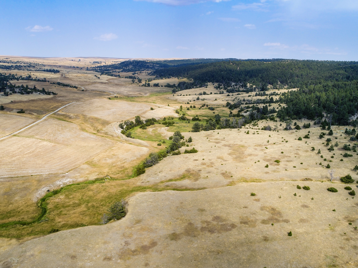 58-East Fork Ranch Land.JPG