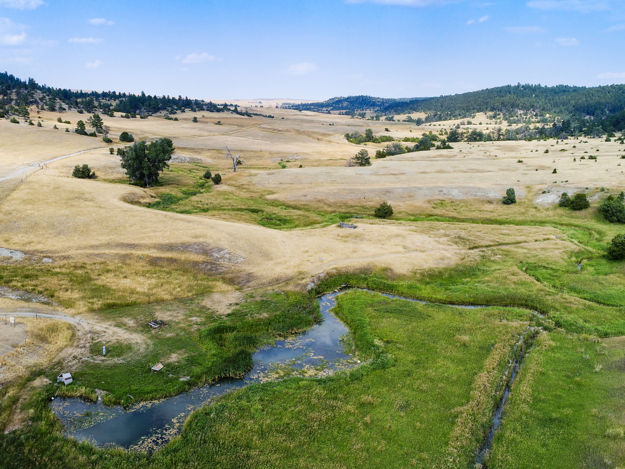 57-East Fork Ranch Land.JPG